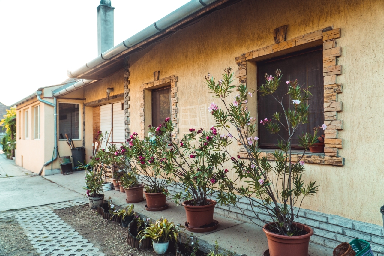 Vânzare Csomád Casa Familiala