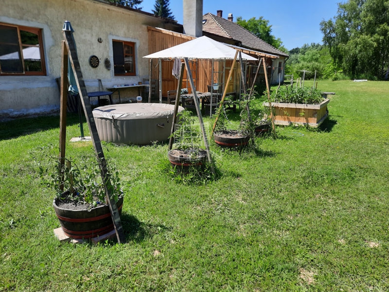 For sale Tatabánya Agricultural area